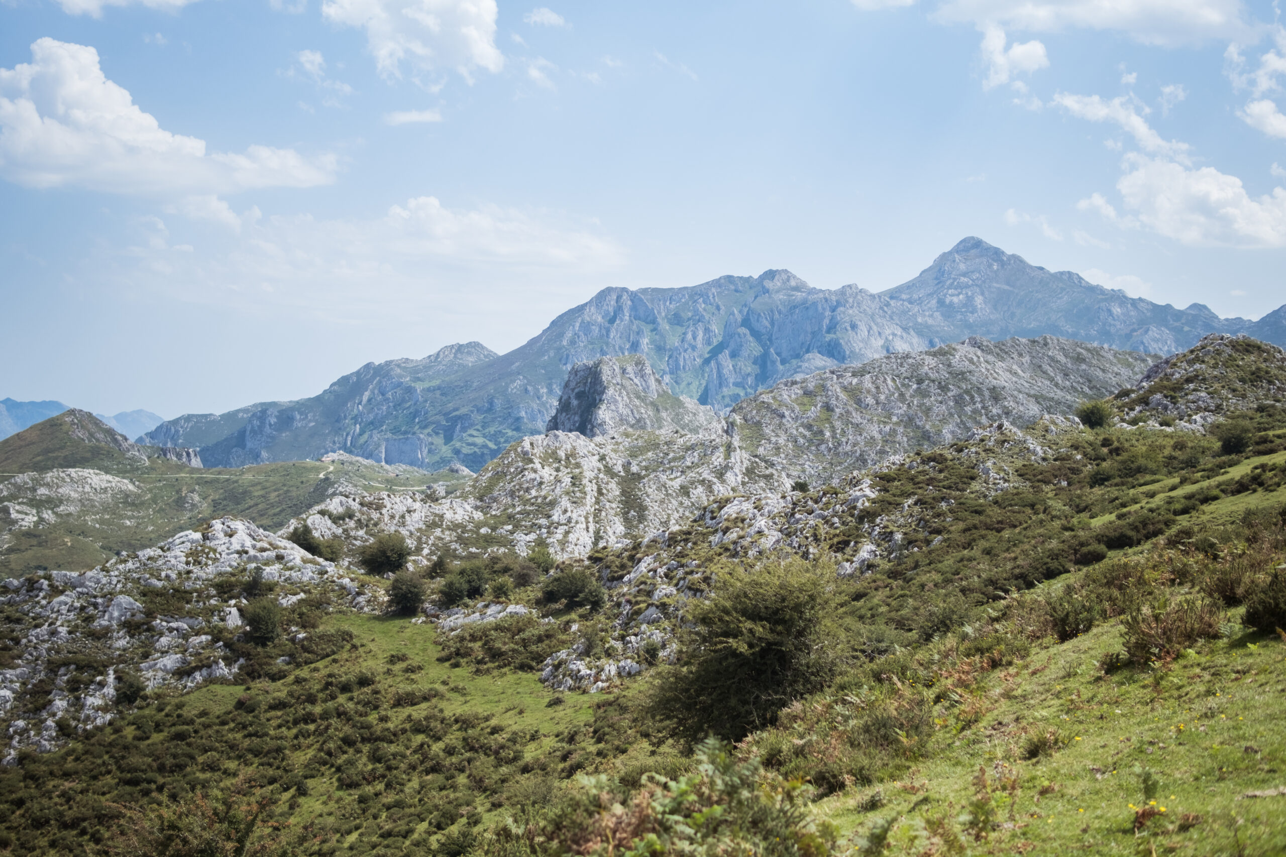 Picos de europa